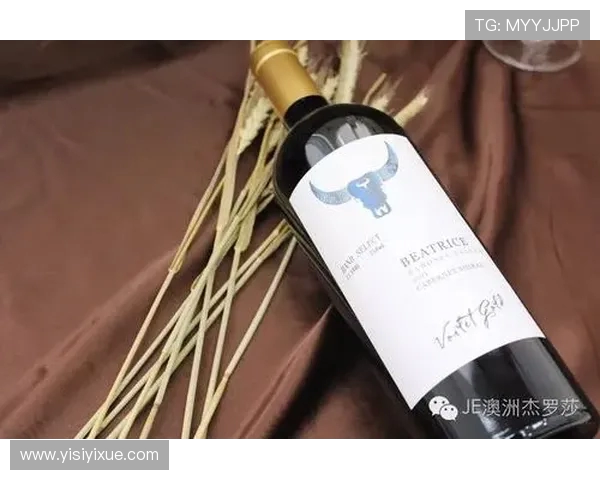 吕迪格的坚韧之路：从默默无闻到足球场上的璀璨明星