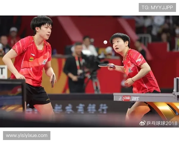 成都乒乓球队实力强劲最新配合TOP10引领乒坛风潮
